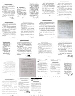 best365英国在线体育