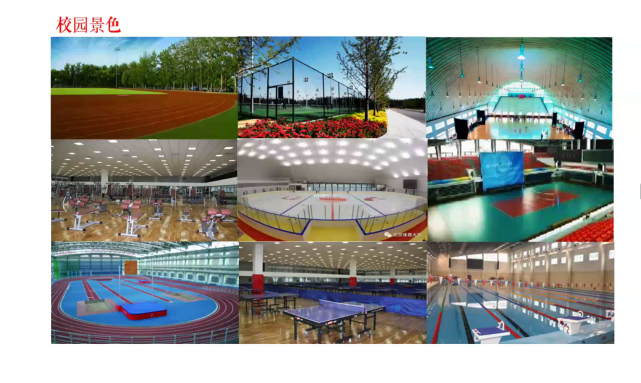 best365英国在线体育