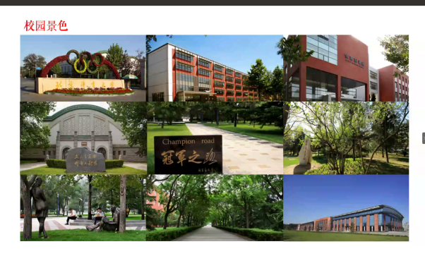 best365英国在线体育