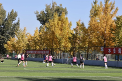 best365英国在线体育